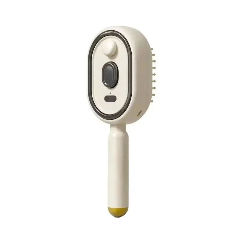 Electric Steam Brush with Water Spray Wet Electrics Hairbrush USB-C Charging for Detangling Smoothing Styling Frizz Control