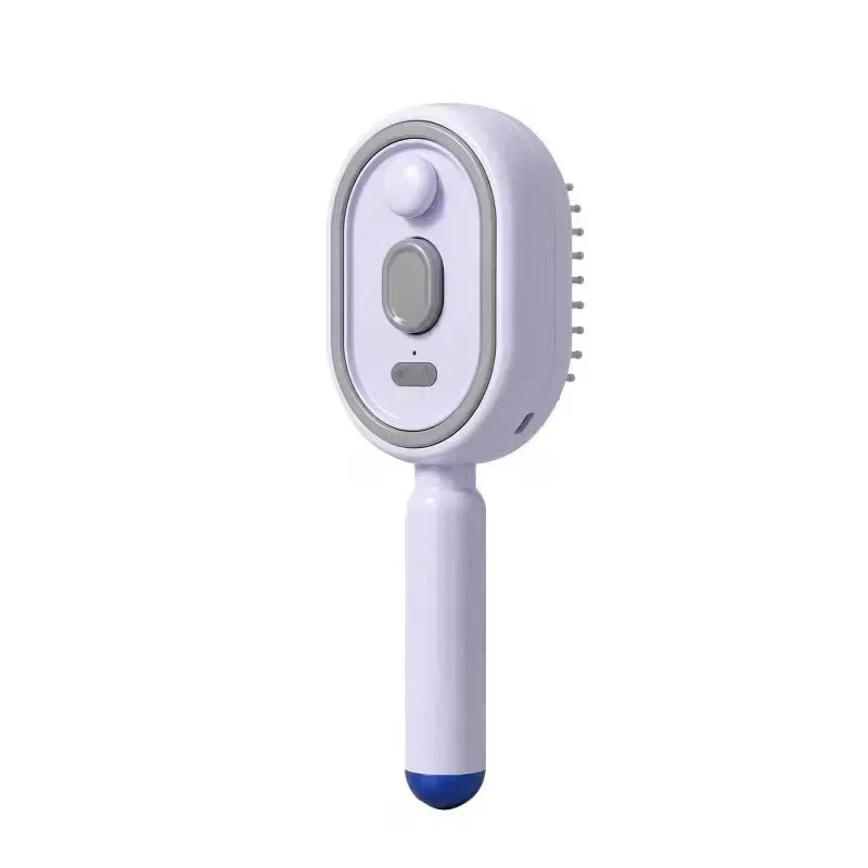 Electric Steam Brush with Water Spray Wet Electrics Hairbrush USB-C Charging for Detangling Smoothing Styling Frizz Control