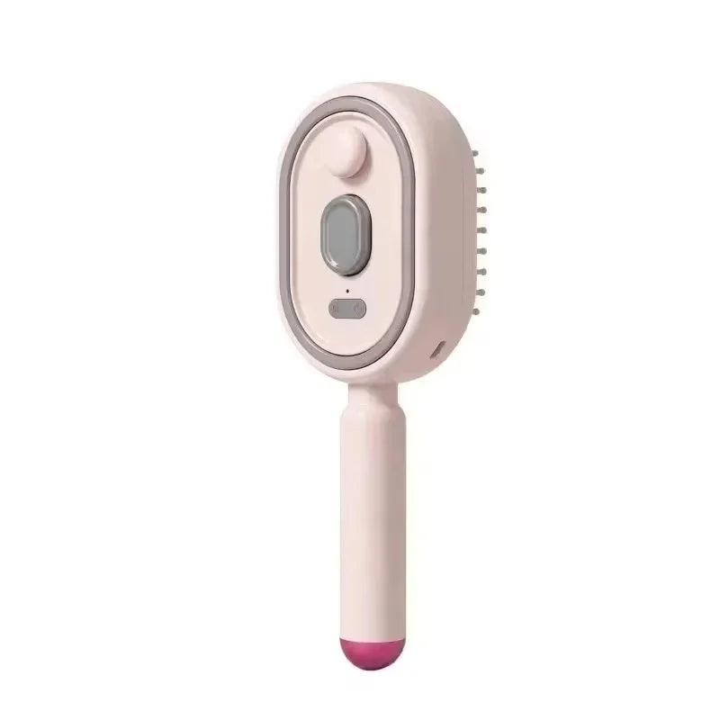 Electric Steam Brush with Water Spray Wet Electrics Hairbrush USB-C Charging for Detangling Smoothing Styling Frizz Control