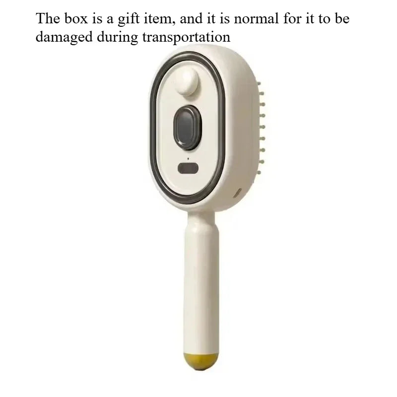 Electric Steam Brush with Water Spray Wet Electrics Hairbrush USB-C Charging for Detangling Smoothing Styling Frizz Control