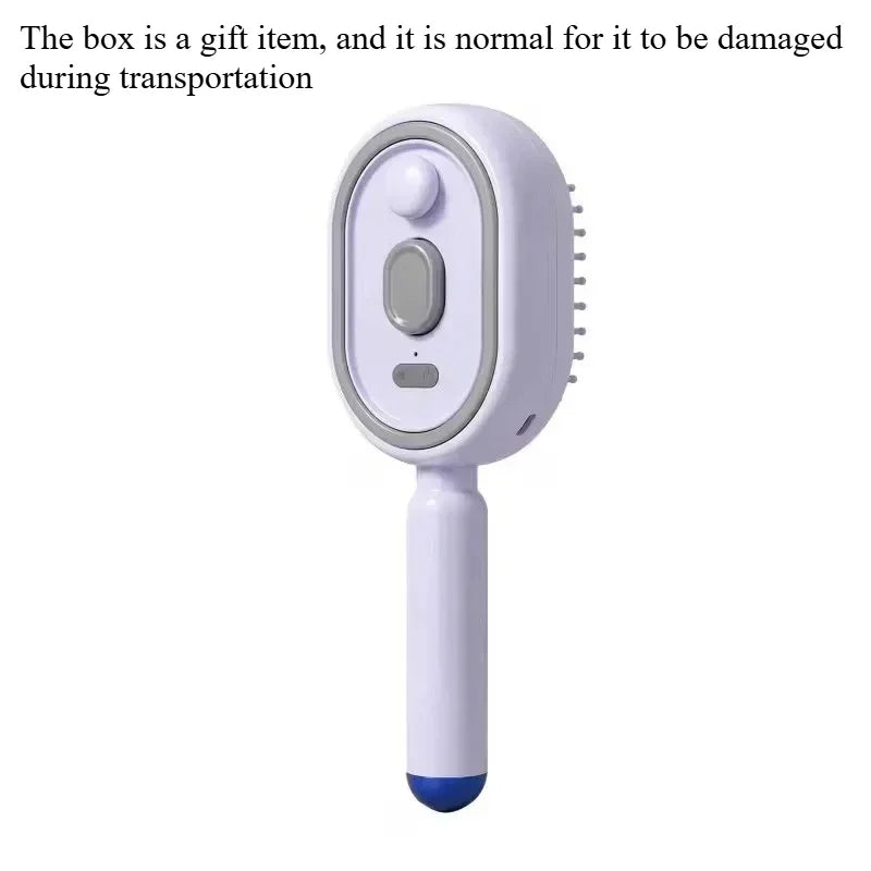 Electric Steam Brush with Water Spray Wet Electrics Hairbrush USB-C Charging for Detangling Smoothing Styling Frizz Control