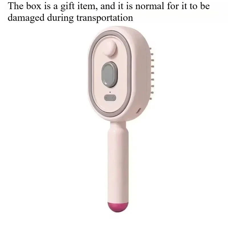 Electric Steam Brush with Water Spray Wet Electrics Hairbrush USB-C Charging for Detangling Smoothing Styling Frizz Control