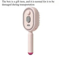 Electric Steam Brush with Water Spray Wet Electrics Hairbrush USB-C Charging for Detangling Smoothing Styling Frizz Control